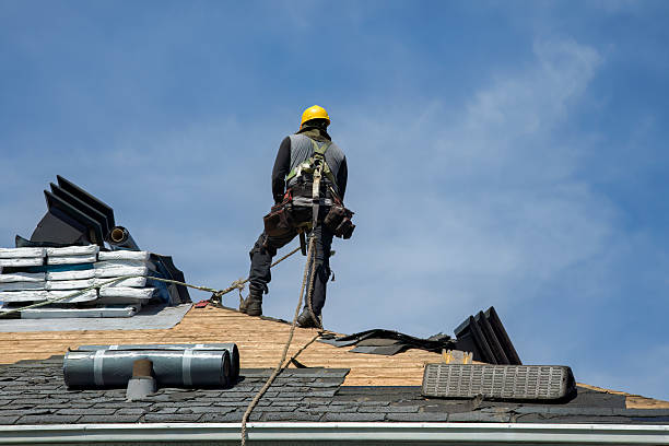 Professional Roof Replacement technician working in Palmyra, IN